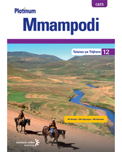 Platinum Mmampodi (Sesotho HL) Grade 12 Teacher's Guide ePDF (perpetual licence)